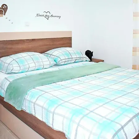 Amazing In With Wifi Apartament